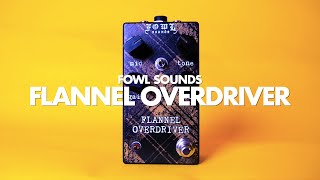 Video thumbnail for Fowl Sounds Flannel Overdriver || Guitar & Bass Demo by Noise Generator