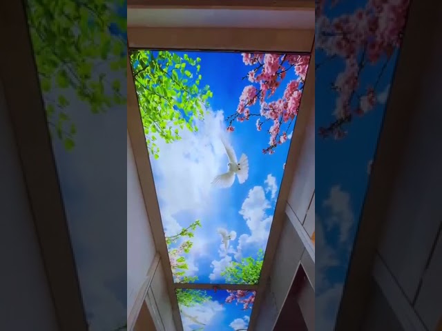 Led fabric light box - Seiling light box Manufacturer from Mumbai