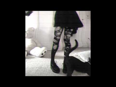 𝘍𝘰𝘭𝘭𝘰𝘸𝘪𝘯𝘨 𝘵𝘩𝘦 𝘴𝘶𝘯