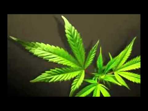 Kaczy & Fliper - Tako prowda