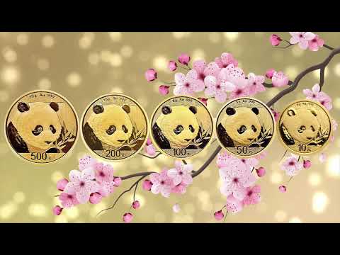 China Panda Gold Coins