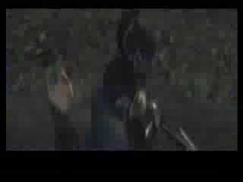 Samurai warriors 3:Hanzo Hattori all cutscenes