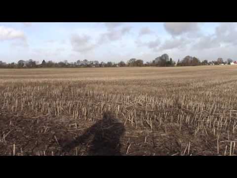 MongoTV_650 - Del 2 - Hvad Jeg Optog På Gåtur Mandag 9.November 2015