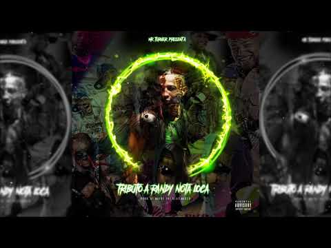 Mr.Turner / Tributo a Randy Nota Loca 「audio oficial」