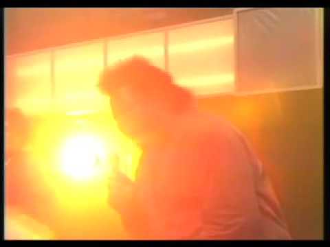 Darryl Pandy - Animal Magnetism