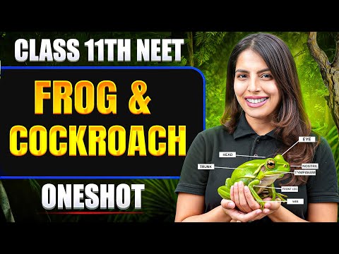 FROG & COCKROACH in ONE SHOT | All Concept & PYQ | Basics to Advanced | Class 11 NEET