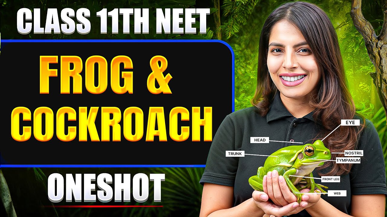 FROG & COCKROACH in ONE SHOT | All Concept & PYQ | Basics to Advanced | Class 11 NEET