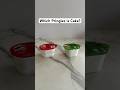 WHICH ONE IS CAKE Did You Guess Correctly Comment Below Realisticcake