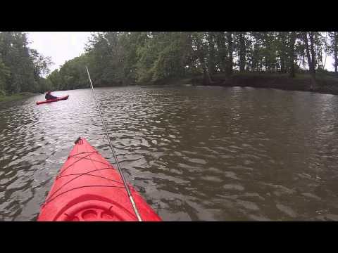 The GoPro Lived to tell the Tale-Kayaking the Shiawassee