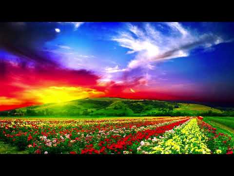 Manuel Le Saux - Precious (Nikolauss #140 Remix)