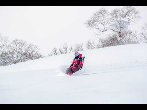 Hokkaido tree run