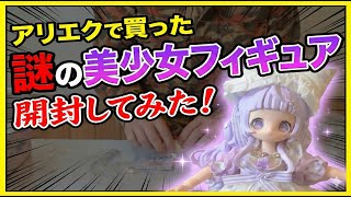 アリエクで買った謎の美少女フィギュアを開封してみた。