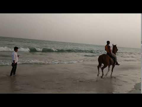 SALALAH-DAHRIZ BEACH