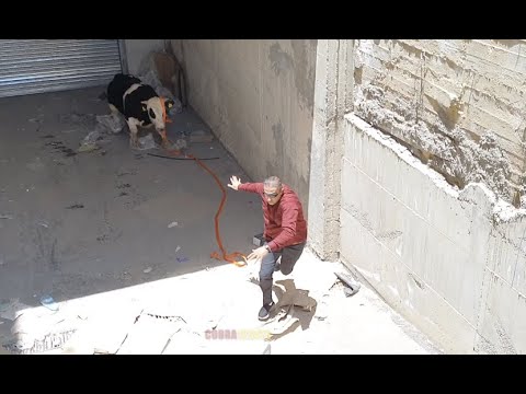 img-video