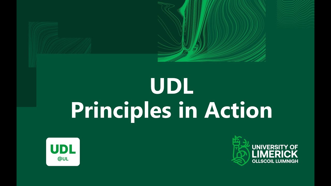 The principles of Universal Design for Learning (UDL)