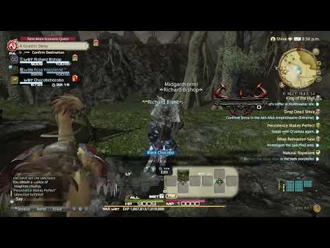 Final Fantasy XIV Co Op Blind Playthrough W/ @positivelyglad #43