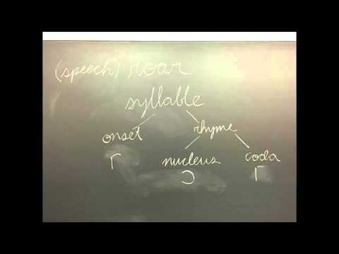 TEAM SCHWA'S LINGUISTICS PROJECT