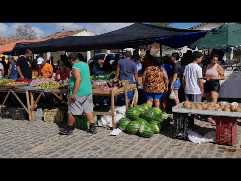 Feira do povoado dos Patos de Frei Miguelinho Pernambuco 29/11/2025.
