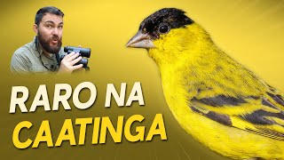 Miniatura do vídeo