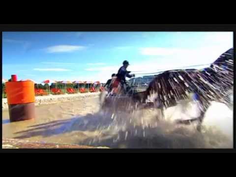 Alltech FEI WEG 2014 - Trailer 2014