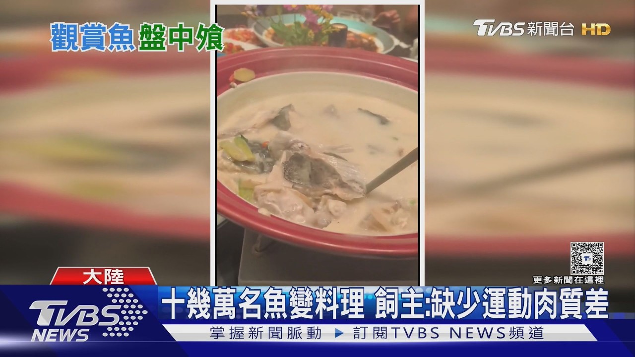 價值百萬魚缸突爆裂!觀賞魚慘死 飼主竟煮來吃