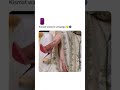 Shorts Webseries Ullu Webseriesullu Ulluhot Ulluwebseries Webserieshot Hotullu Hot Reels