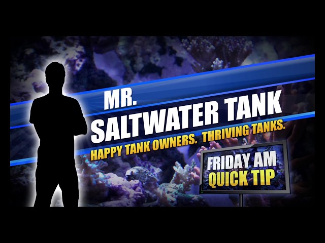 The Utility of Spying On Your Fish [Friday AM Quick Tip]