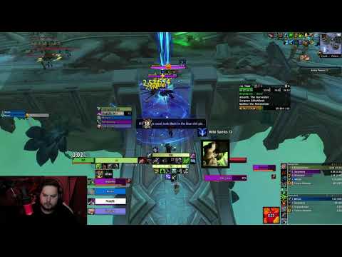 Mythic Plus +16 Necrotic Wake Bm Hunter Pov