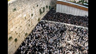 כשכתוב בגמרא או בפוסקים חייב אדם - זו חובה או מצוה?▪️הרב נחמנסון▪️ (הרב יהודה לייב נחמנסון) - התמונה מוצגת ישירות מתוך אתר האינטרנט יוטיוב. זכויות היוצרים בתמונה שייכות ליוצרה. קישור קרדיט למקור התוכן נמצא בתוך דף הסרטון