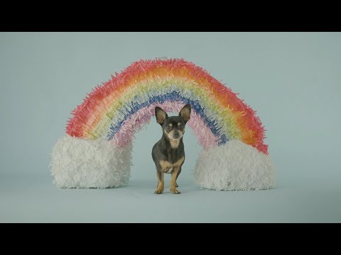 Connie Isla - Sin Remitente (Video Oficial)