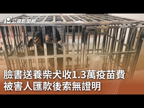 臉書送養柴犬收1.3萬疫苗費 被害人匯款後索無證明(柴老大新聞台)