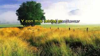 Mi pan, mi Luz - Marcos Wiit