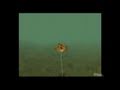 Reel Fishing: Angler 39 s Dream Nintendo Wii Video