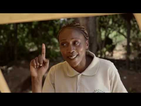 Shamba Shape Up Sn 8 - Ep 5: Rice Fertiliser, Water Melons, Dairy Cows (Swahili)