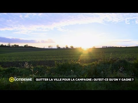 Leaving the city for the countryside: what are the advantages?