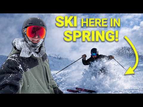 The Guide to Togari Onsen Ski Resort, Japan 🇯🇵
