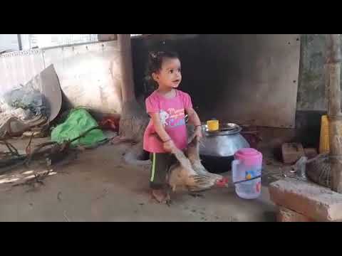 Insiya playing with chicken. #animals #babygirl #viralvideo #kidsvideo
