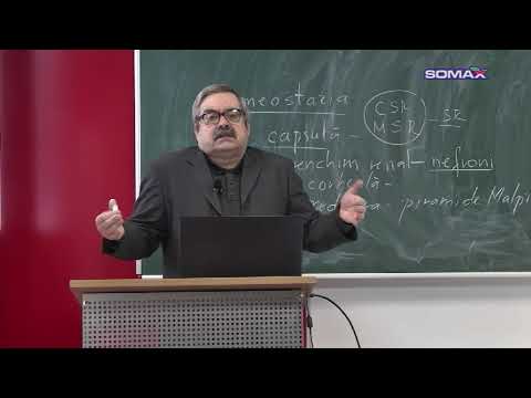 EXAMENE DE NOTA 10 - BACALAUREAT - BIOLOGIE - Prof. LIVIU HUȚANU