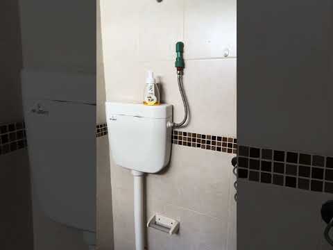 Video de YouTube - Apartamento en Alquiler de 2 dormitorios con  Patio en Aguada, Montevideo