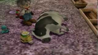 Harvest moon a wonderful life: six animals die in one scene