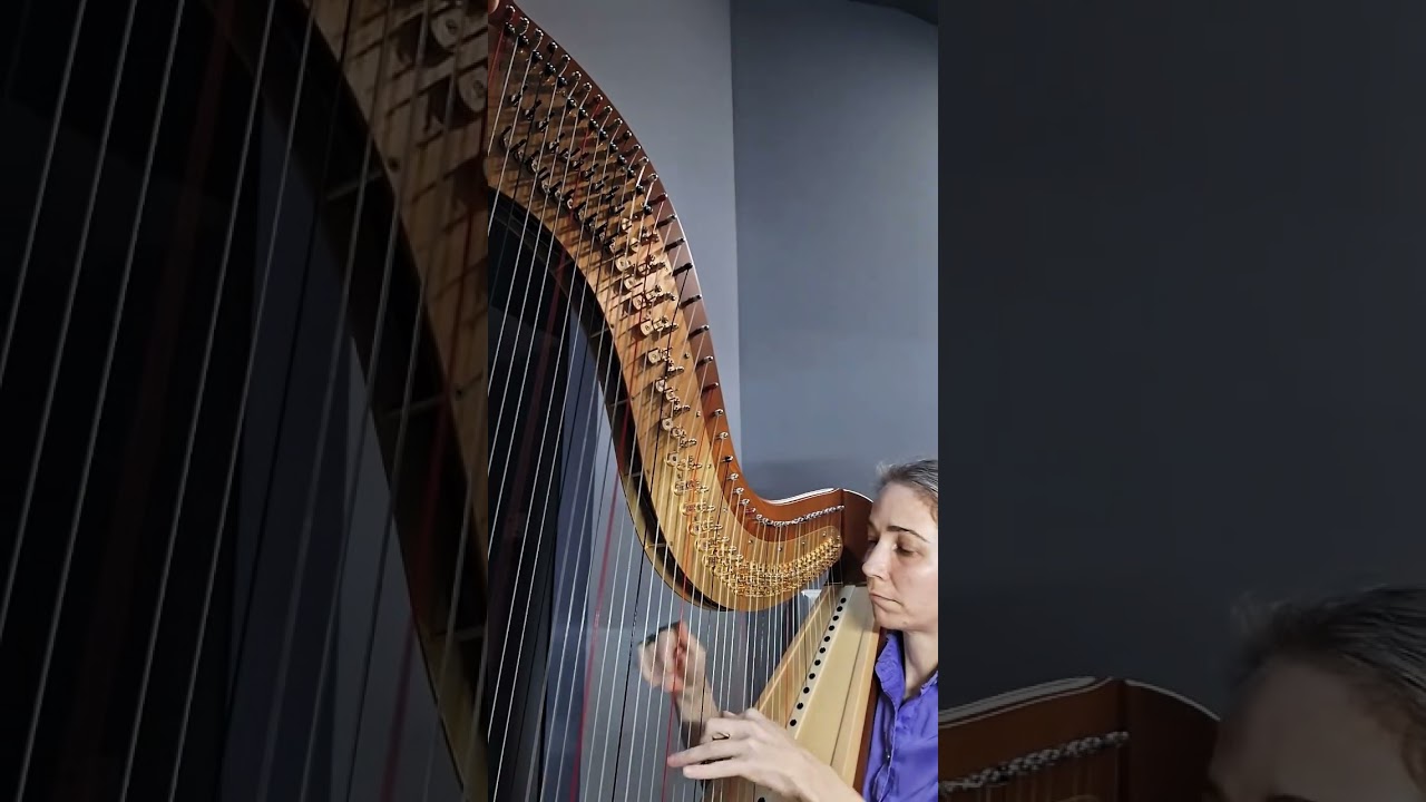 Promotional video thumbnail 2 for Melissa White Harpist