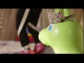 Daniel Tiger S Neighborhood Funding Credits REQUESTED