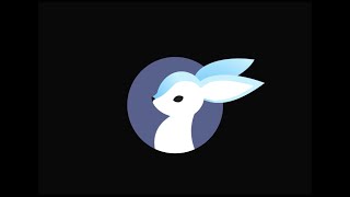 Directus video