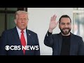 Top Bukele Aides Blocked U S Extraditions Of MS 13 Leaders ProPublica Reports