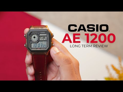 Casio AE-1200WHL-5AV - Why Everyone Buying this $30 Casio Again?