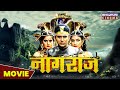 नागराज FULL MOVIE Yash Kumar Anjanasingh Anand Mohan Naagraaj Latest Bhojpuri Film 2023