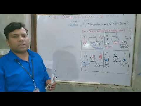 Hershey and chase experiment