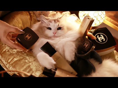 👑 Experience Luxury: Inside the World's Priciest All Gold Chanel Spa 👑 | Cat Spa ASMR