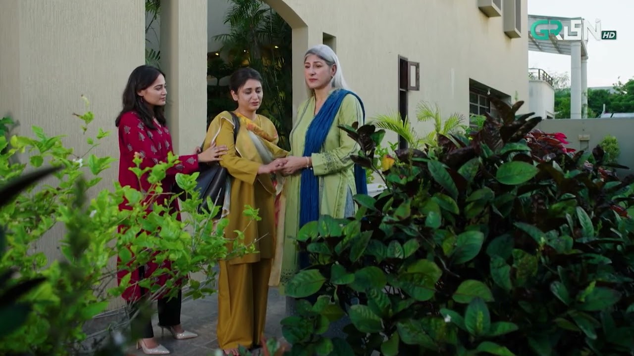 Aik Bhool Episode 39 | Best Moment 03 | Green TV Entertainment