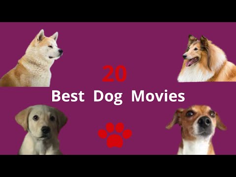 Top 20 Dog Movies & #Show #TV I The 20 #Best #Dog #Movies to #Watch